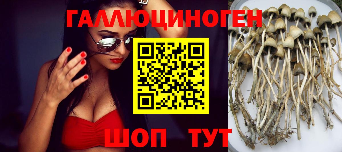 Галлюциногенные грибы GOLDEN TEACHER  купить закладку  Бор  Псилоцибиновые грибы ЛСД  Вход с VPN 